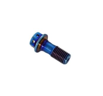 TORNILLO DE ACEITE PERFORADO M8